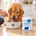 Owner mixing RAW Support Digestion powder supplement into a Golden Retriever's food bowl on a kitchen floor — daily dog digestive health routine, probiotic gut support supplement Canada
