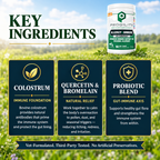 Key ingredients in Progility Allergy & Immune with Colostrum — Colostrum immune foundation, Quercetin and Bromelain, probiotic blend gut-immune axis — dog allergy supplement Canada
