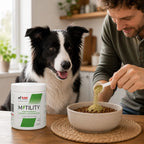 A man pours green powder from a white scoop into a bowl of dog kibble on a woven placemat, with a black-and-white dog sitting beside a white and green RAW MOTILITY supplement container on the table.