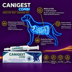 Canigest Combi dog gut body map — showing probiotic action in gut lining, small and lower intestine with probiotics, prebiotics, kaolin and glutamine peptides