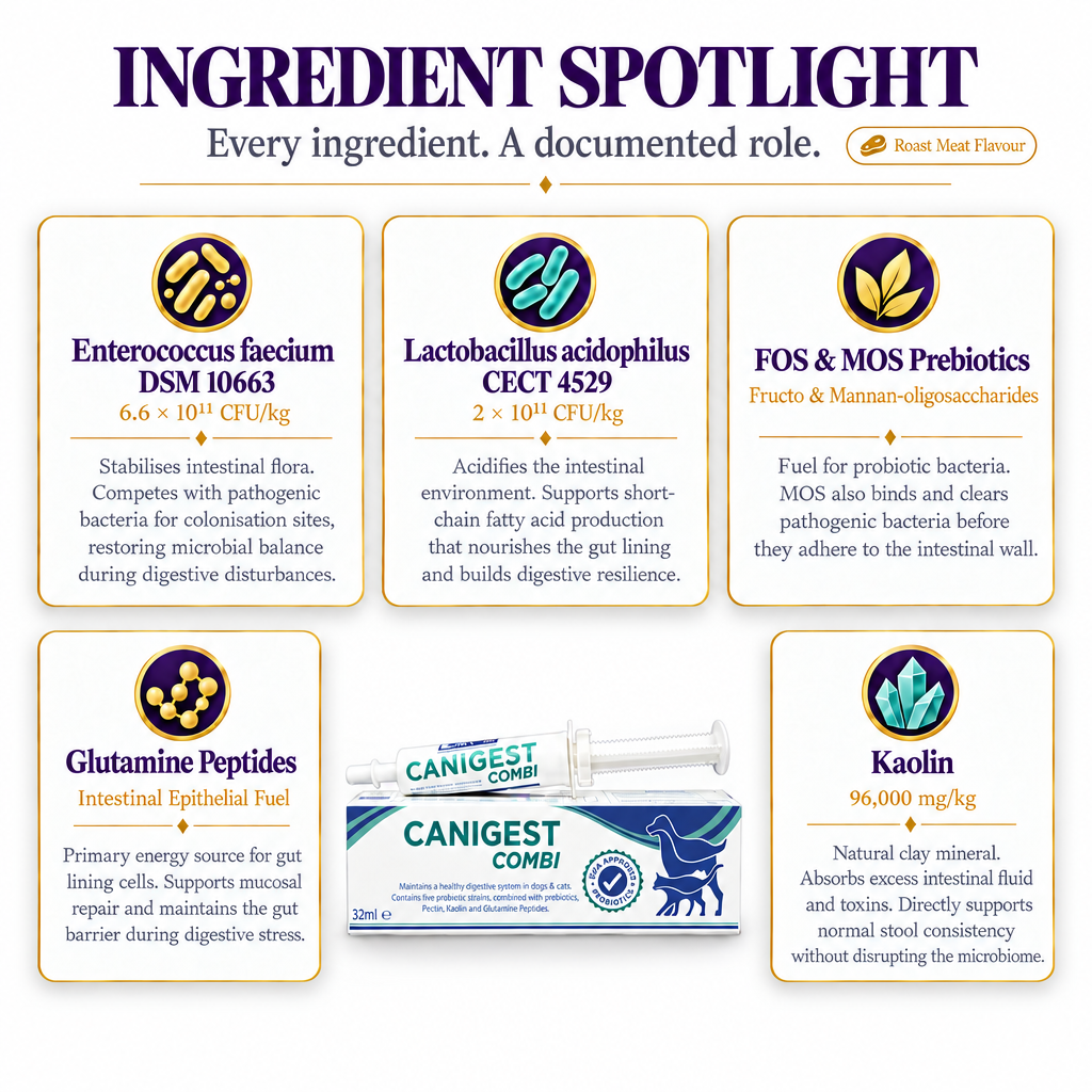Canigest Combi ingredient spotlight — Enterococcus faecium, Lactobacillus acidophilus, FOS & MOS prebiotics, glutamine peptides, and kaolin for dog digestive health