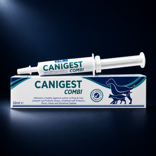 Canigest Combi 32ml probiotic paste premium studio shot — syringe and box on dark background, digestive supplement for dogs and cats