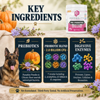 Key ingredients infographic for Progility Pre & Probiotics 90-chew dog supplement — prebiotics, probiotics, and enzymes for digestive health in Canada