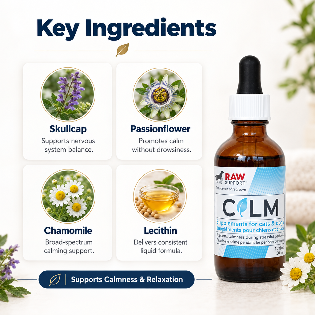 Ingredient spotlight for RAW Support Calm — herbal calming supplement with Skullcap, Passionflower and Chamomile for dogs and cats