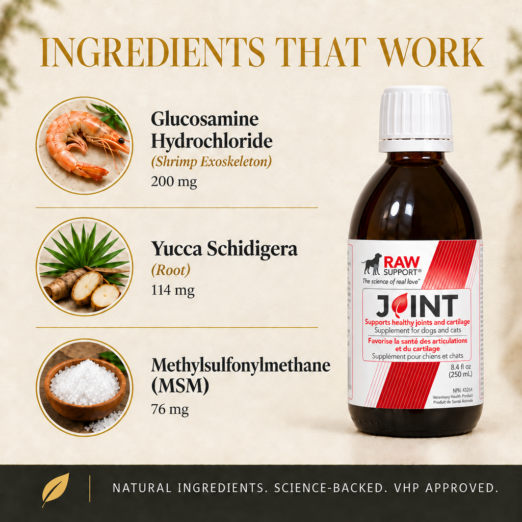 RAW Support Joint ingredients panel showing glucosamine hydrochloride 200mg, yucca schidigera 114mg, and MSM 76mg — liquid joint supplement for dogs and cats, Canada