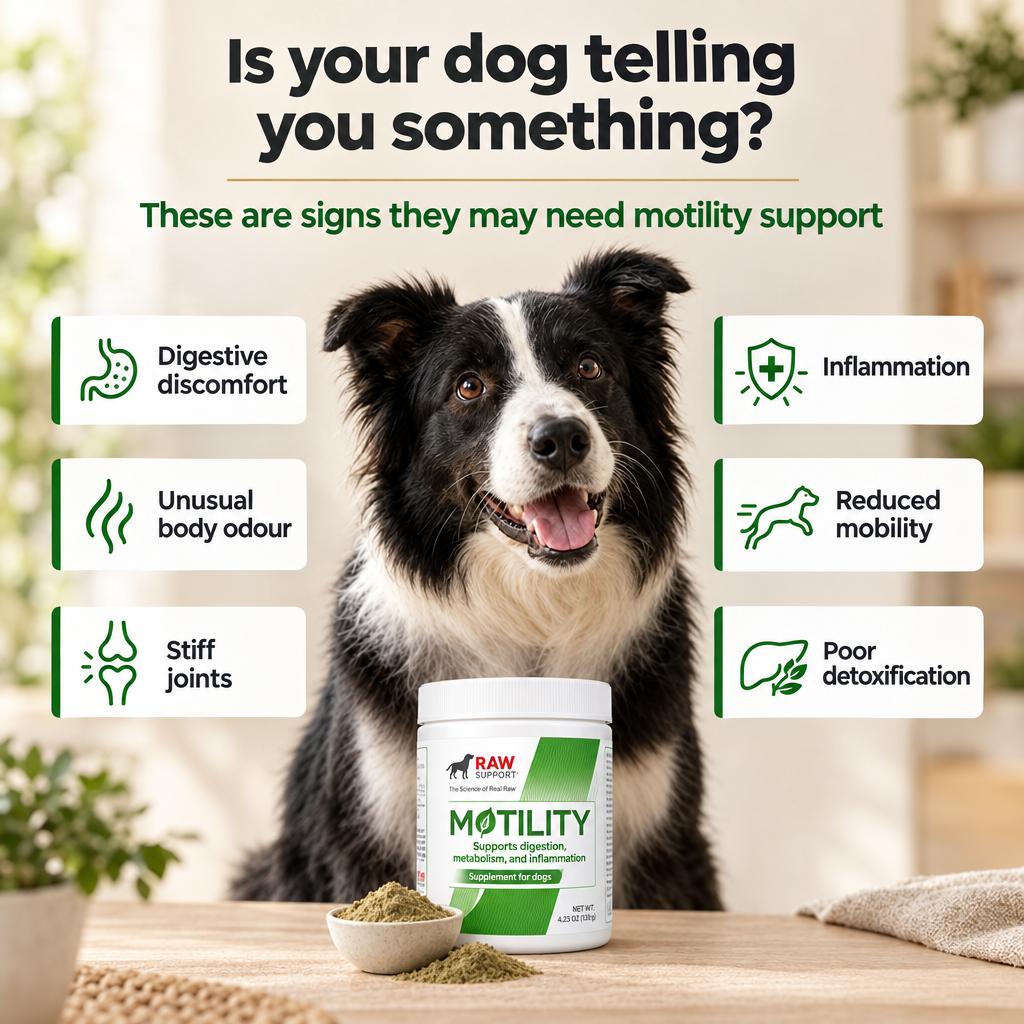 Why Veltor Pets carries RAW Support Motility — natural dog digestive and mobility supplement Canada